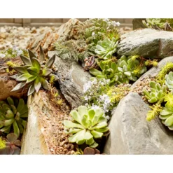 Stylish Stone Rustic Slate Rockery 19 Stylish Stone Rustic Slate Rockery -Elise Bloom 12875997 6334849696657587