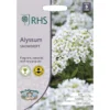 RHS Alyssum Snowdrift Seeds