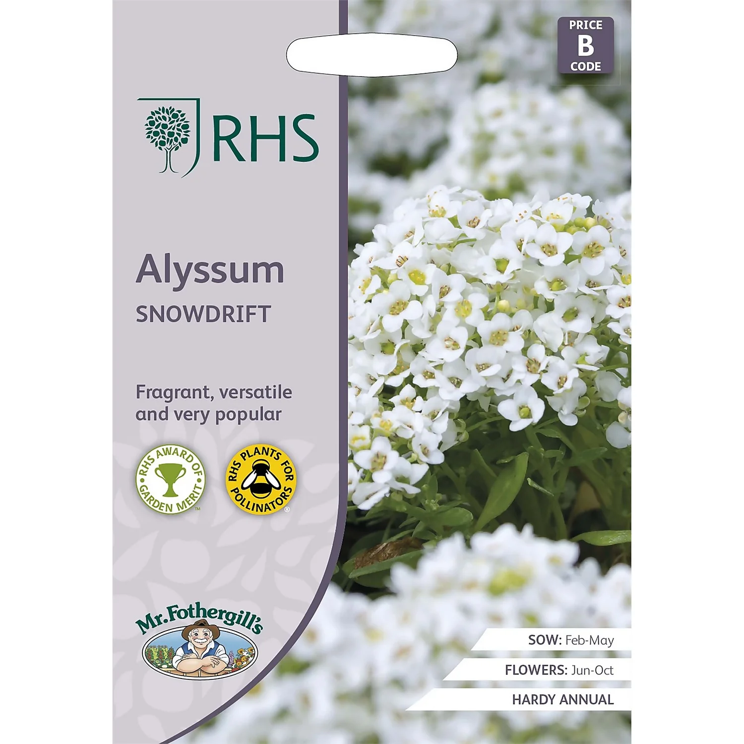 RHS Alyssum Snowdrift Seeds 3 RHS Alyssum Snowdrift Seeds