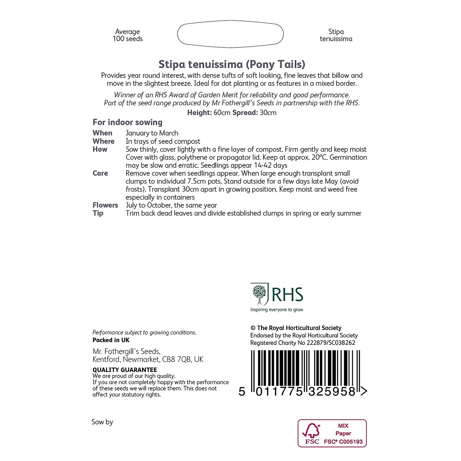 RHS Stipa Tenuimmia Pony Tails Seeds 4 RHS Stipa Tenuimmia Pony Tails Seeds - Image 2