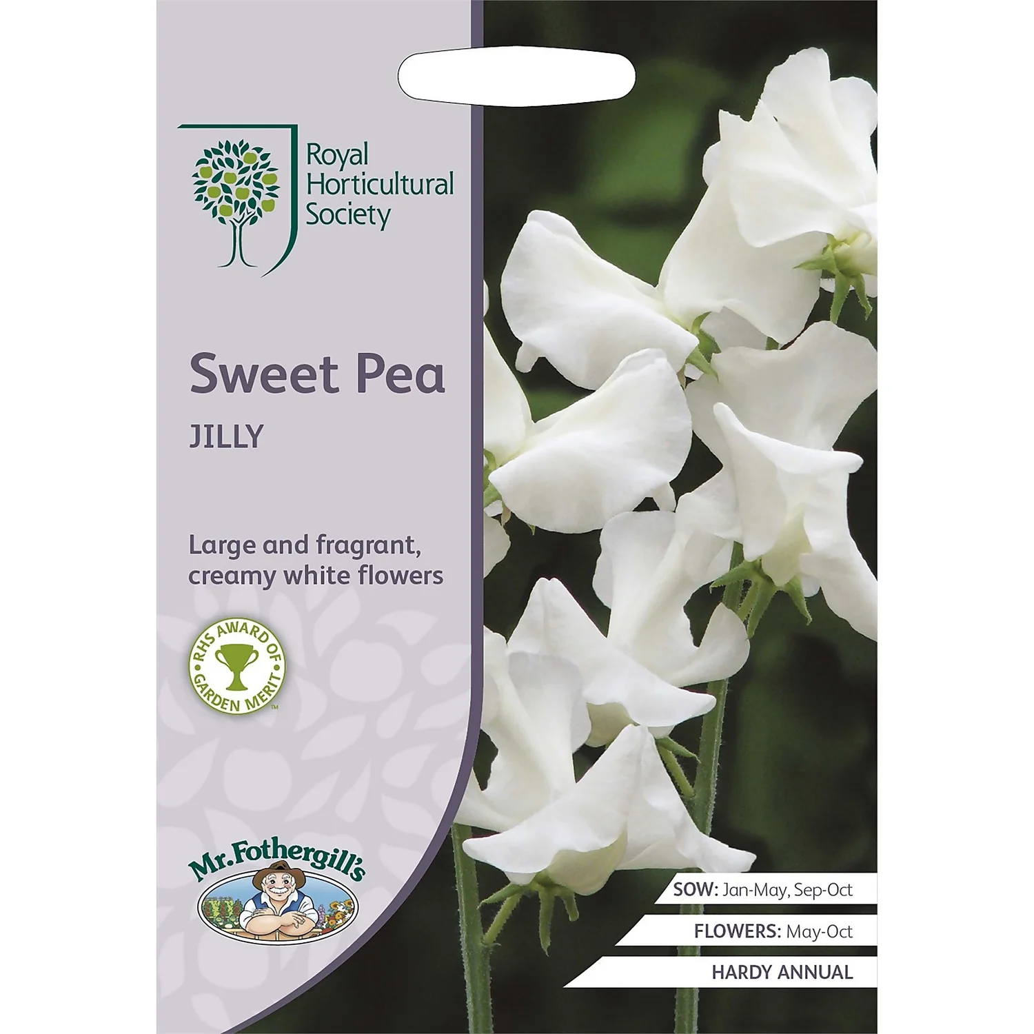RHS Sweet Pea Jilly Seeds 3 RHS Sweet Pea Jilly Seeds
