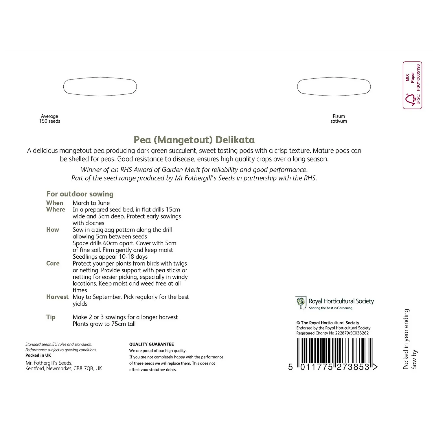 RHS Pea Mangetout Delikata Seeds 4 RHS Pea Mangetout Delikata Seeds - Image 2