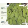 RHS Pea Mangetout Delikata Seeds 2 RHS Pea Mangetout Delikata Seeds -Elise Bloom 12882737 2854843575375843