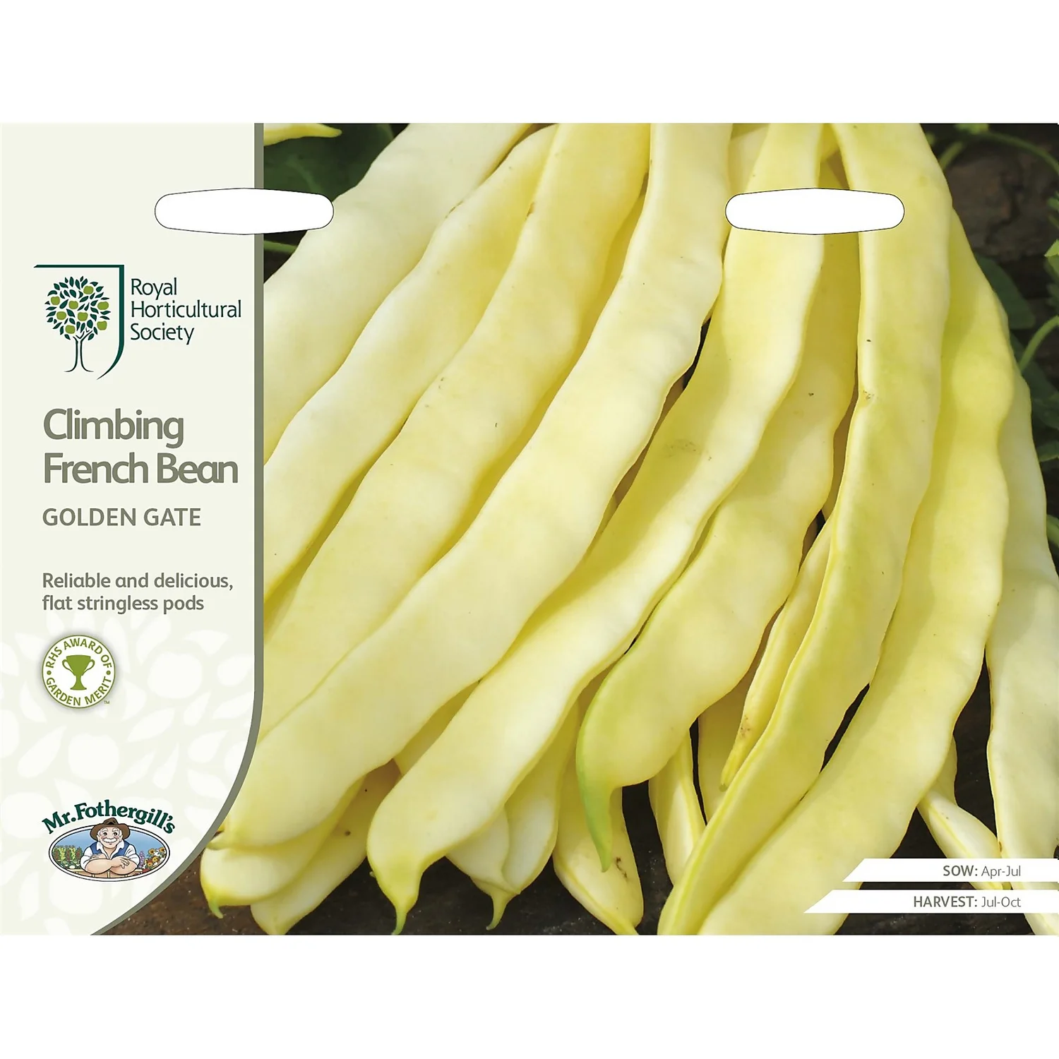 RHS Climbing French Bean Golden Gate Seeds 3 RHS Climbing French Bean Golden Gate Seeds