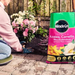 Miracle Gro Premium Azalea, Camellia & Rhododendron Ericaceous Compost - 40L 13 Miracle Gro Premium Azalea, Camellia & Rhododendron Ericaceous Compost - 40L -Elise Bloom 12882812 1404843671956442