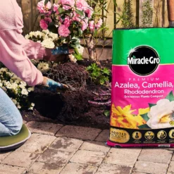 Miracle Gro Premium Azalea, Camellia & Rhododendron Ericaceous Compost - 40L 12 Miracle Gro Premium Azalea, Camellia & Rhododendron Ericaceous Compost - 40L -Elise Bloom 12882812 1924843671918789