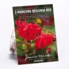 None Hanging Begonia Red 2 None Hanging Begonia Red -Elise Bloom 12882824 1105020399972737