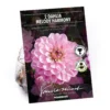 None Dark Foliage Dahlia Melody Harmony Flower Bulbs 2 None Dark Foliage Dahlia Melody Harmony Flower Bulbs -Elise Bloom 12882832 1755020400394549