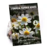 None Dahlia Single Topmix White Flower Bulbs