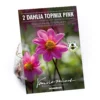 None Dahlia Single Topmix Pink 2 None Dahlia Single Topmix Pink -Elise Bloom 12882844 7575020400552277