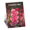 None Large Flowering Gladioli Fado Flower Bulbs -Elise Bloom 12882845 1995020402596447
