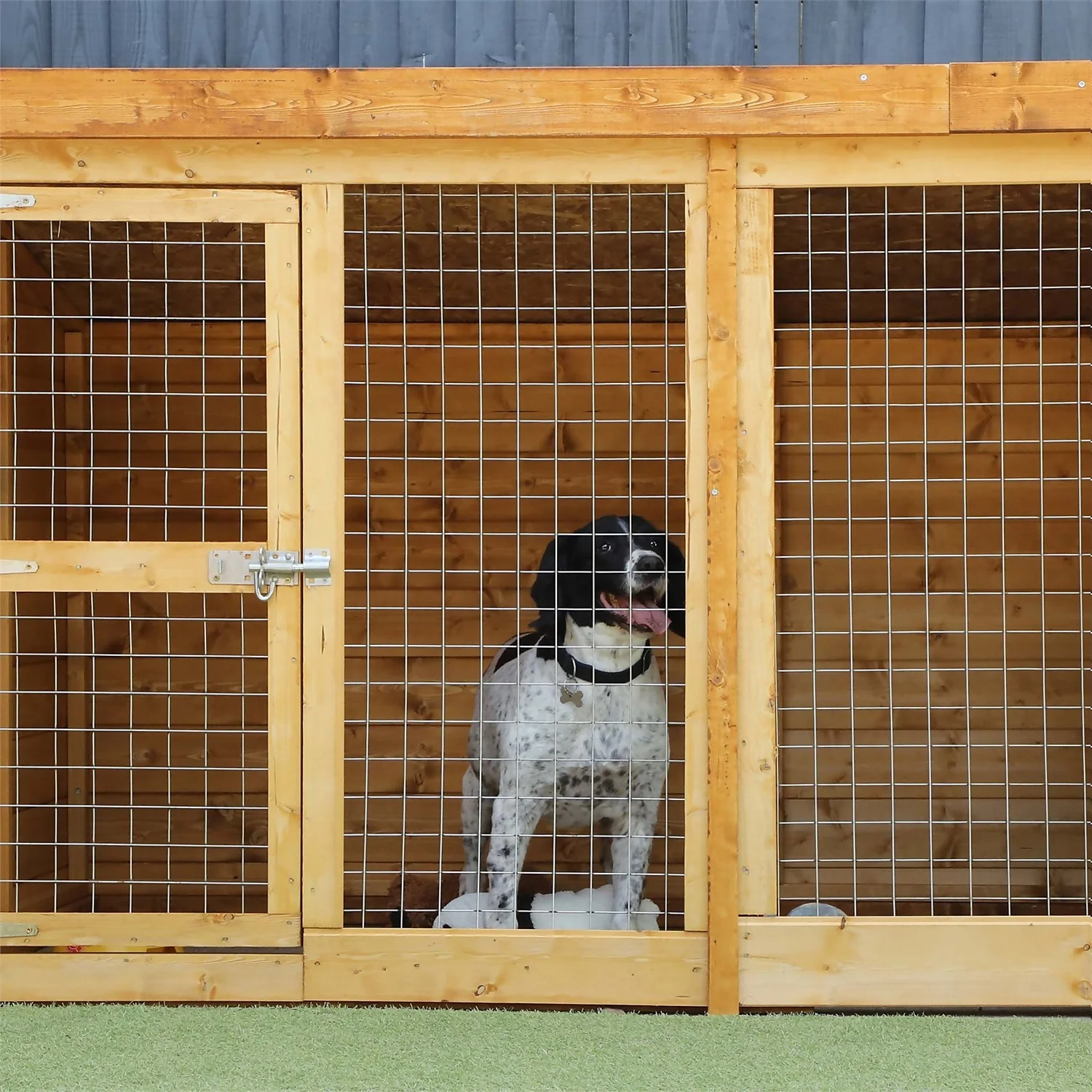 Mercia 10 X 4 Dog Kennel & Run 6 Mercia 10 X 4 Dog Kennel & Run - Image 4