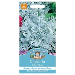 Mr. Fothergill's Cineraria Silver Dust Seeds