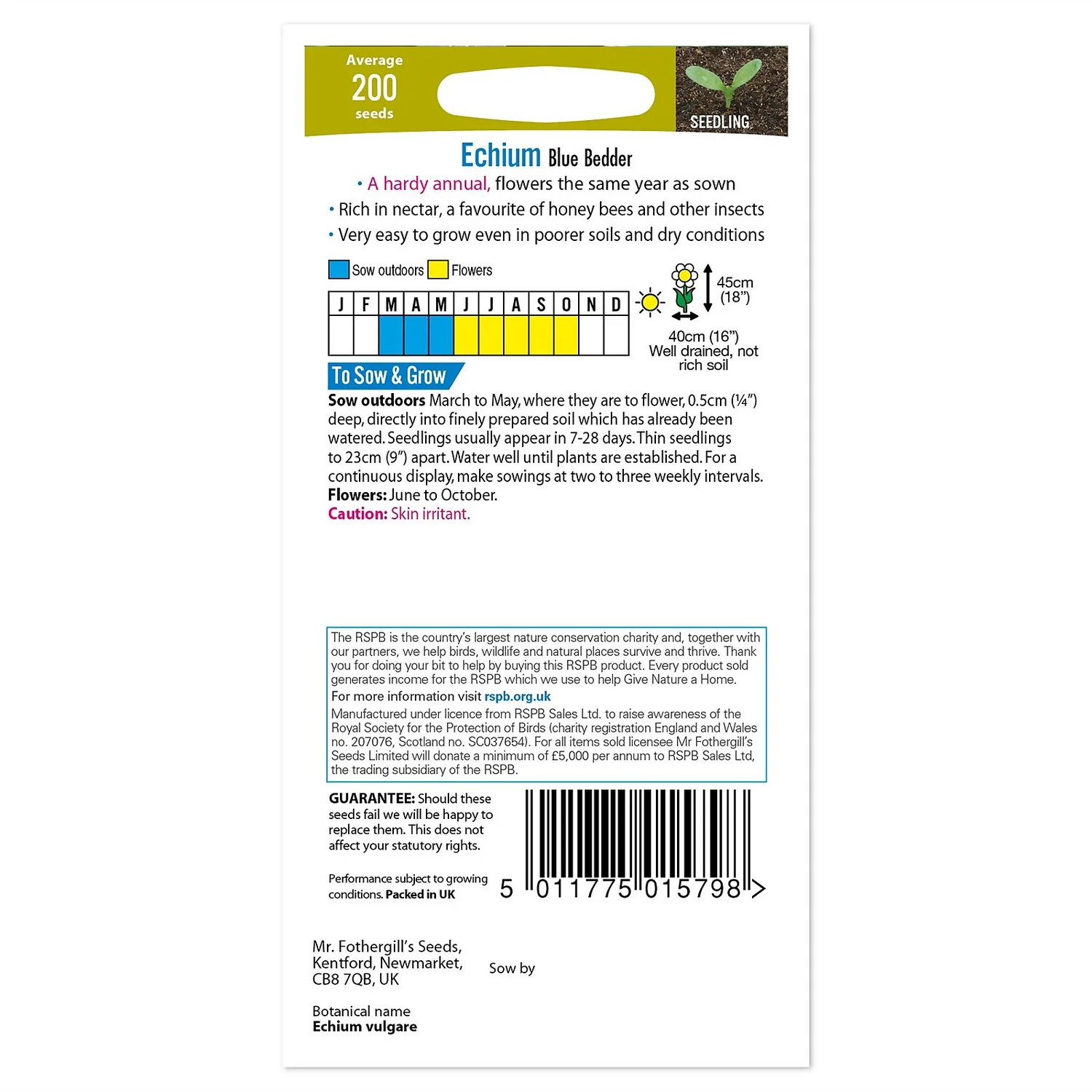 Mr. Fothergill's Echium Blue Bedder Seeds 4 Mr. Fothergill's Echium Blue Bedder Seeds - Image 2