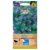 Mr. Fothergill's Echium Blue Bedder Seeds -Elise Bloom 12884086 1644843351189779