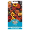 Mr. Fothergill's Dahlia Bishops Children Seeds -Elise Bloom 12884089 2104843351054650