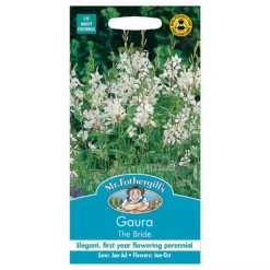 Mr. Fothergill's Gaura The Bride Seeds