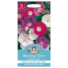 Mr. Fothergill's Morning Glory Choice Mixed Seeds -Elise Bloom 12884092 9664843351735080