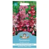 Mr. Fothergill's Penstemon Mixed Colours Seeds -Elise Bloom 12884113 1214843352574162