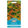 Mr. Fothergill's Rudbeckia Rustic Dwarf Mixed Seeds -Elise Bloom 12884116 1064843351848336