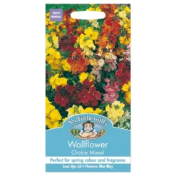 Mr. Fothergill's Wallflower Choice Mixed Seeds