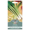 Mr. Fothergill's Spring Onion Eiffel Seeds 2 Mr. Fothergill's Spring Onion Eiffel Seeds -Elise Bloom 12884163 3494843352790786