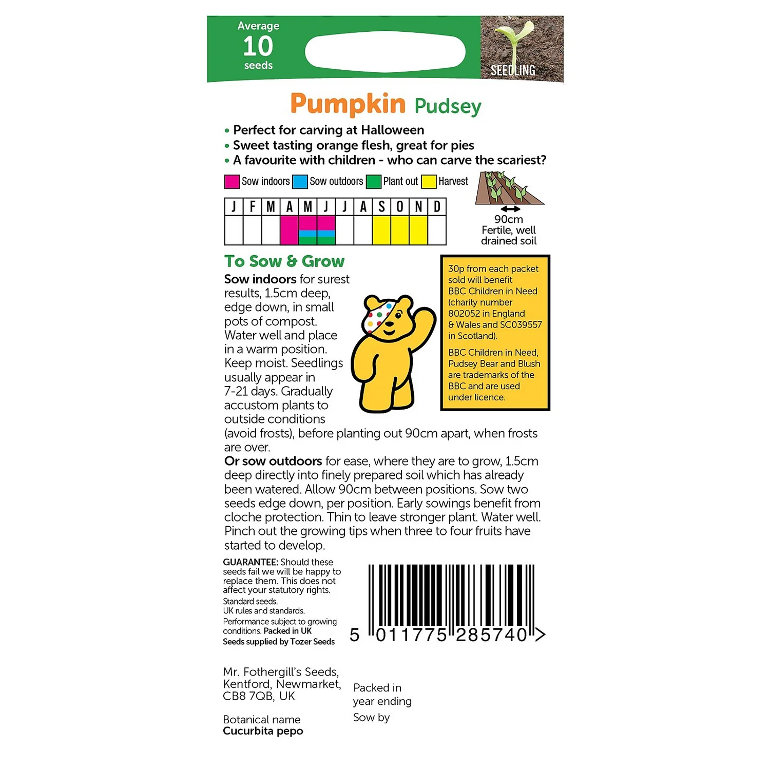 MRF CIN Pumpkin Pudsey Packet 4 MRF CIN Pumpkin Pudsey Packet - Image 2