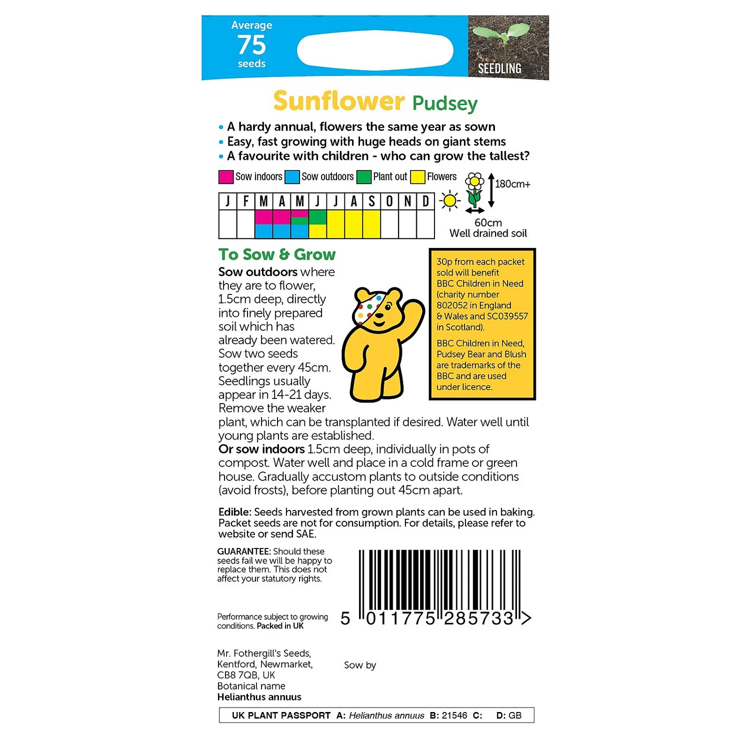 MRF CIN Sunflower Pudsey Packet 4 MRF CIN Sunflower Pudsey Packet - Image 2