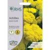 RHS Achillea Gold Plate 2 RHS Achillea Gold Plate -Elise Bloom 12884745 1254843467248625