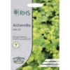 RHS Alchemilla Mollis -Elise Bloom 12884749 5424843467281610