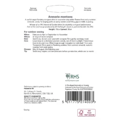 RHS Arenaria Montana -Elise Bloom 12884754 1154843467462153