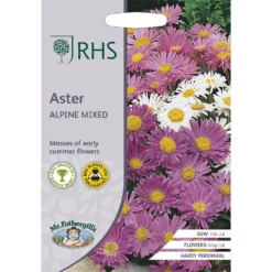 RHS Aster Alpine Mixed