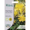 RHS Aquilegia Yellow Queen -Elise Bloom 12884756 2124843467408975