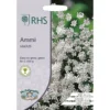 RHS Ammi Majus -Elise Bloom 12884757 1204843467378066