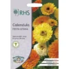 RHS Calendula Fiesta Gitana -Elise Bloom 12884758 1174843468584798