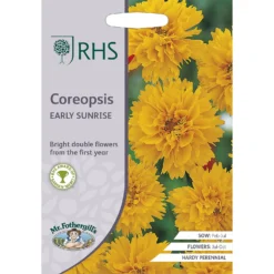 RHS Coreopsis Early Sunrise