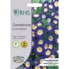 RHS Convolvulus Blue Ensign -Elise Bloom 12884767 9374843468071519