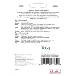 RHS Cosmos Sensation Pinkie -Elise Bloom 12884768 1154843468236927