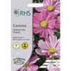 RHS Cosmos Sensation Pinkie -Elise Bloom 12884768 1284843468205475