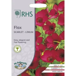 RHS Flax Scarlet - Linum