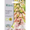 RHS Foxglove Suttons Apricot -Elise Bloom 12884771 1664843468781574