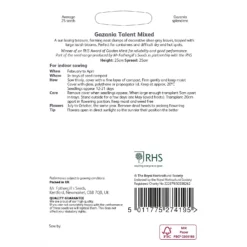 RHS Gazania Talent Mixed -Elise Bloom 12884772 7914843468526355