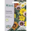 RHS Gazania Talent Mixed -Elise Bloom 12884772 8974843468511892