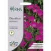 RHS Dianthus Deltoides 2 RHS Dianthus Deltoides -Elise Bloom 12884774 1554843468339809