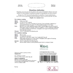 RHS Dianthus Deltoides -Elise Bloom 12884774 2614843468369338