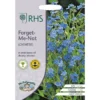 RHS Forget Me Not (Chinese) -Elise Bloom 12884777 1404843468748208