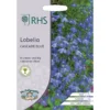 RHS Lobelia Cascade Blue -Elise Bloom 12884790 1264843468952301