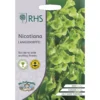 RHS Nicotiana Langsdorffii -Elise Bloom 12884795 9764843469632149