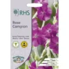 RHS Rose Campion -Elise Bloom 12884799 2544843469764902