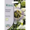 RHS Passion Flower -Elise Bloom 12884802 2964843469292093